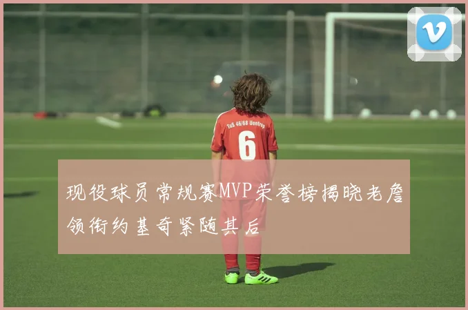 现役球员常规赛MVP荣誉榜揭晓老詹领衔约基奇紧随其后